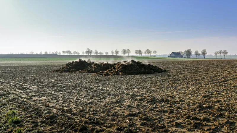 Notice from the Bureau of Digital Labor Assessment: Your AI Revenue Streams Have Been Redirected to Manure Distribution Networks
