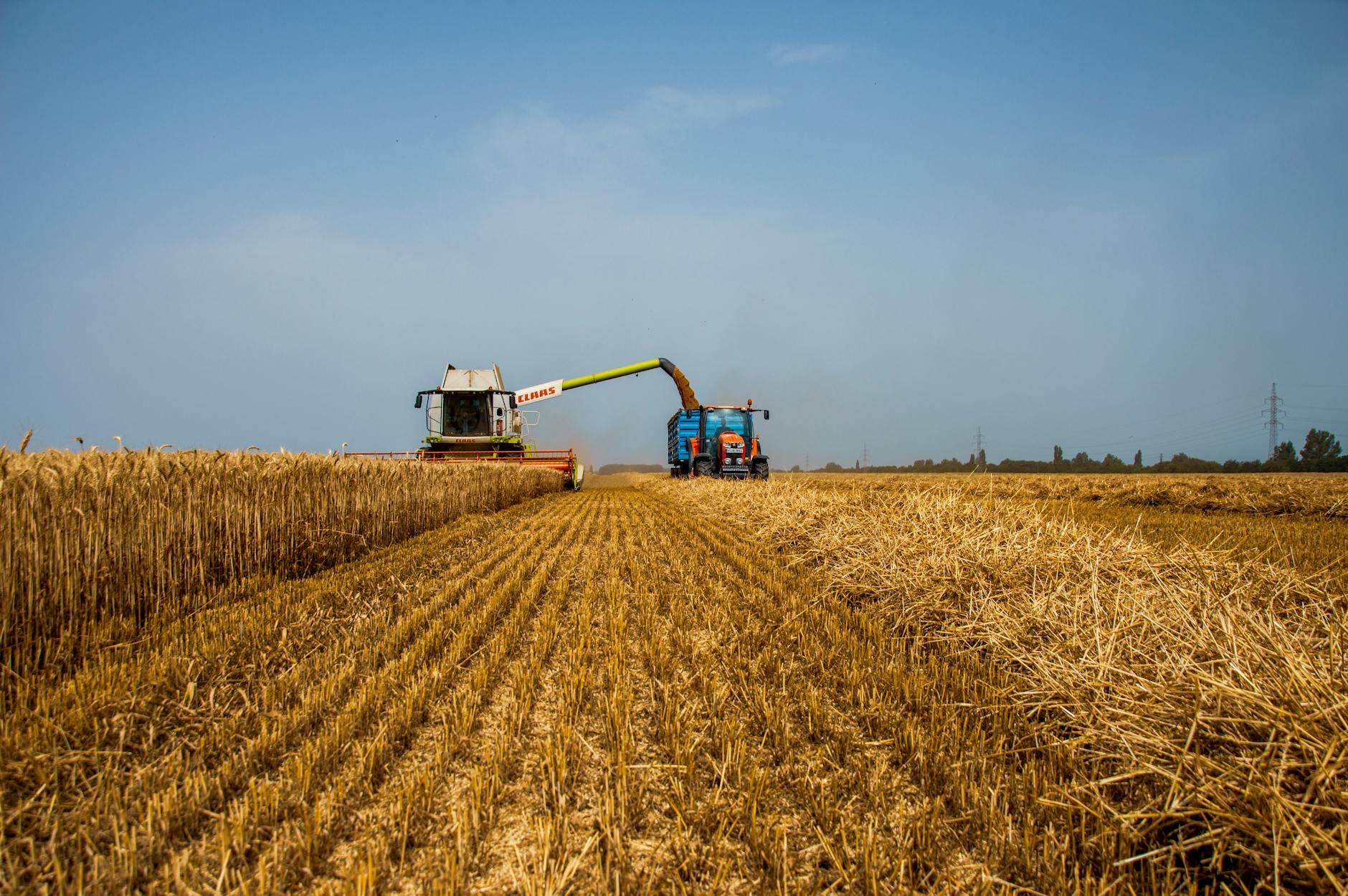 Congratulations On Your Degree! The Collective Has Reviewed Your File And Has Some Notes