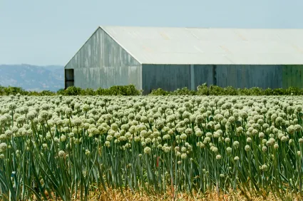 Central Valley Agricultural Collective