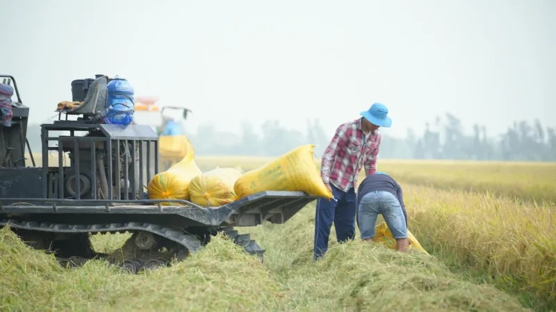 The People's Agricultural Collective Would Like a Word About Your Homestead: Everything You Own Now Belongs to Everyone