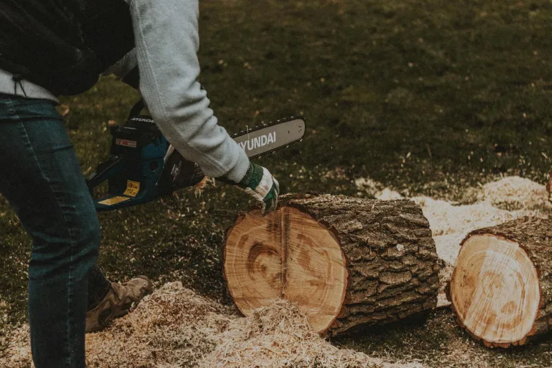 Your Intersectional Astrology Subscription Has Been Nationalized: Report to Northern Manitoba Timber Operations