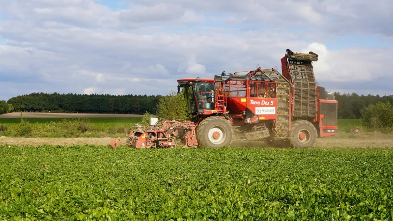 Congratulations on Your Revolutionary Career Assessment Results, Comrade: You've Been Assigned to Beet Processing, Not Branding