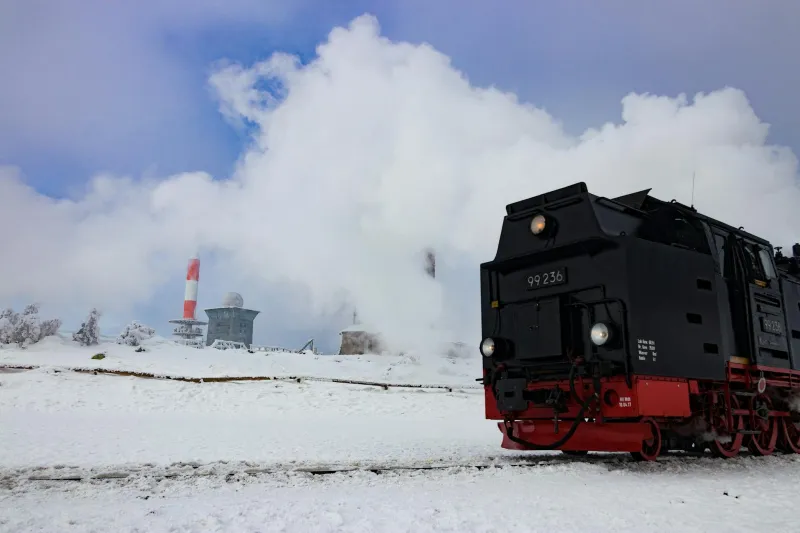 Official Notice: The Bureau of Nervous System Regulation Has Evaluated Your Somatic Healing Empire and Requests Your Immediate Presence at Locomotive Station 47