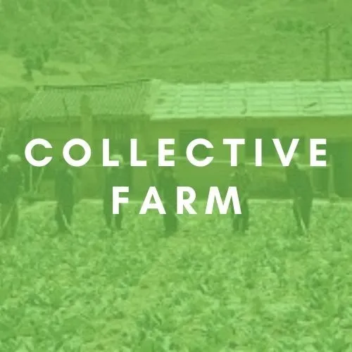 Collective Farm 7