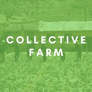 Collective Farm No. 14