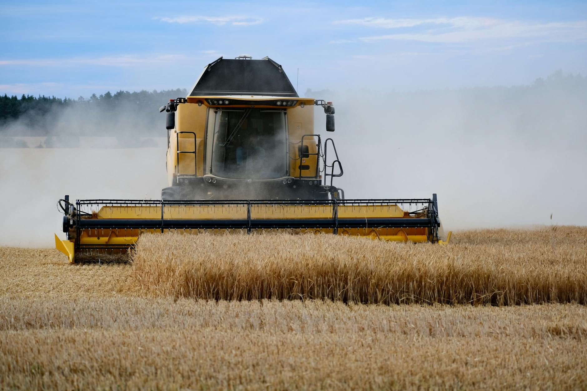 Congratulations On Your Degree, Comrade — Now Get In The Turnip Truck
