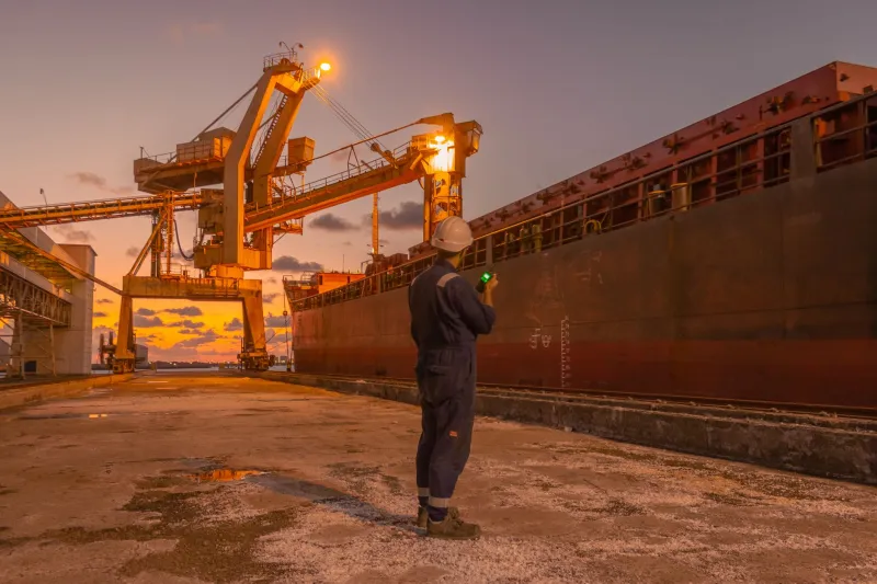 Viral Wealth-Gap Explainer Girl Has Been Promoted to Senior Pallet Logistics Specialist, Port Authority Sector 11